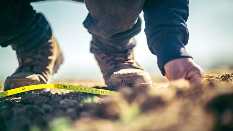 Ha en m² : conversion simple des hectares en mètres carrés