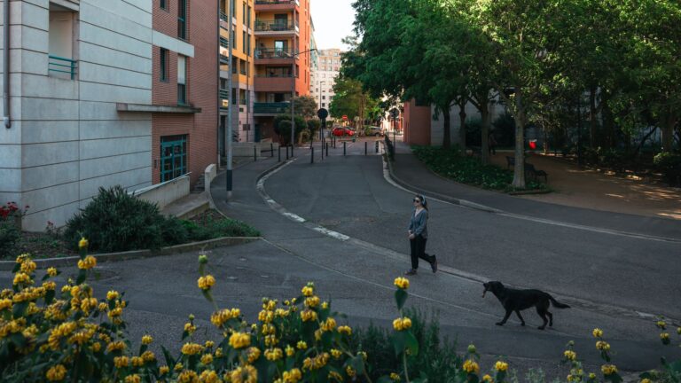 Quartier Borderouge, Toulouse : avis honnêtes des habitants en 2026
